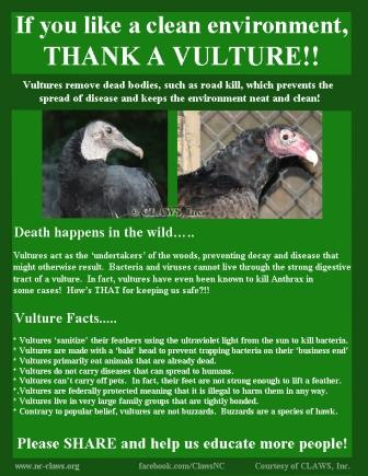 vultures